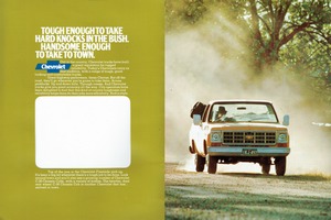 1977 Chevrolet Light Trucks (Aus)-02-03.jpg